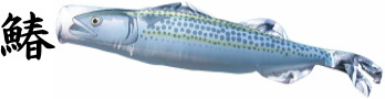 sawara Spanish mackerel windsock