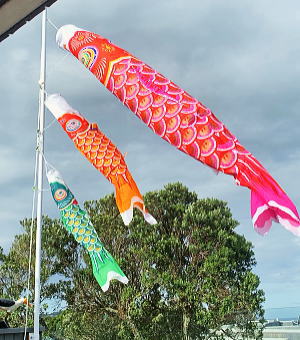 koinobori flying in Auckland, New Zealand