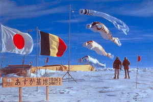 Koinobori flying in the Antarctic Continent.