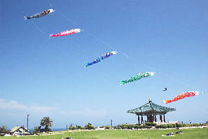 koinobori flying in California, USA